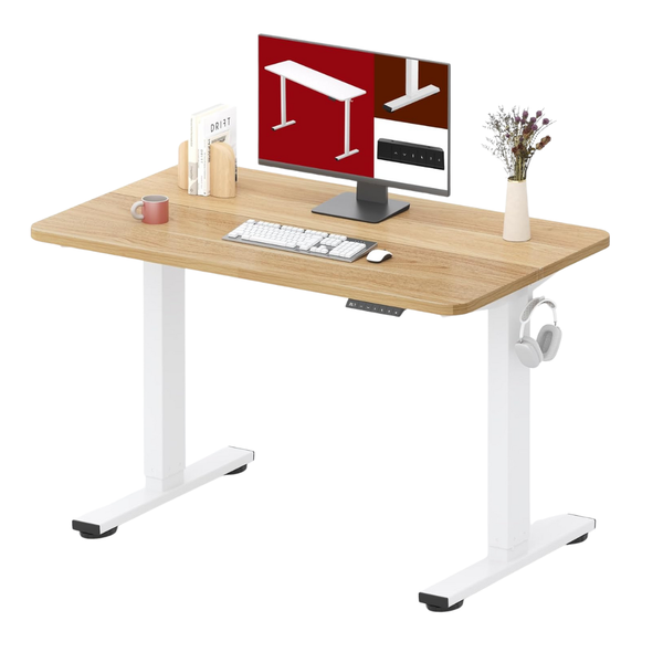 40'' x 24" Height Adjustable Electric Standing Desk
