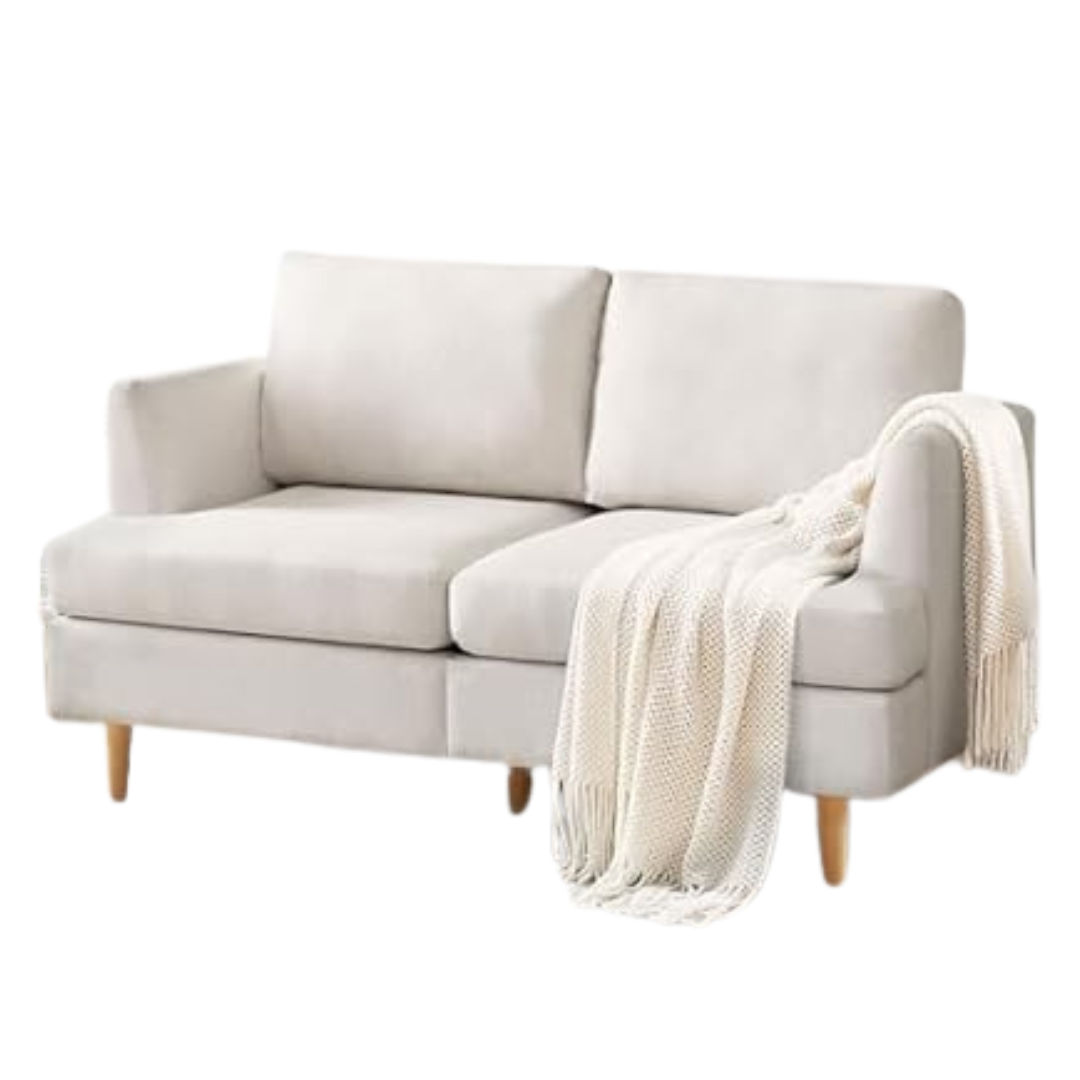 56" BFD Mid Century Modern Extra Deep 2-Seat Sofa Loveseat