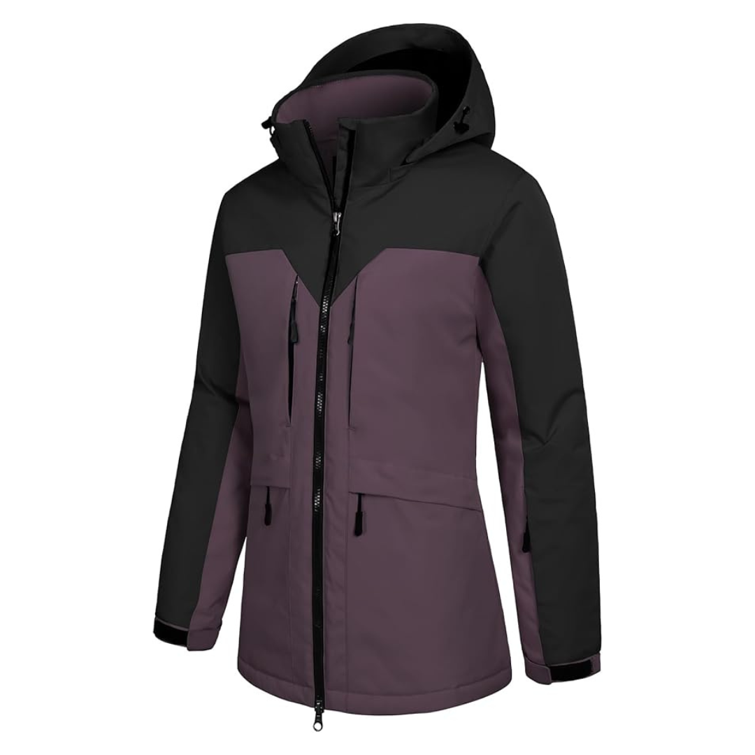 Women's Waterproof Windproof Warm Ski Jacket (5 Colors)