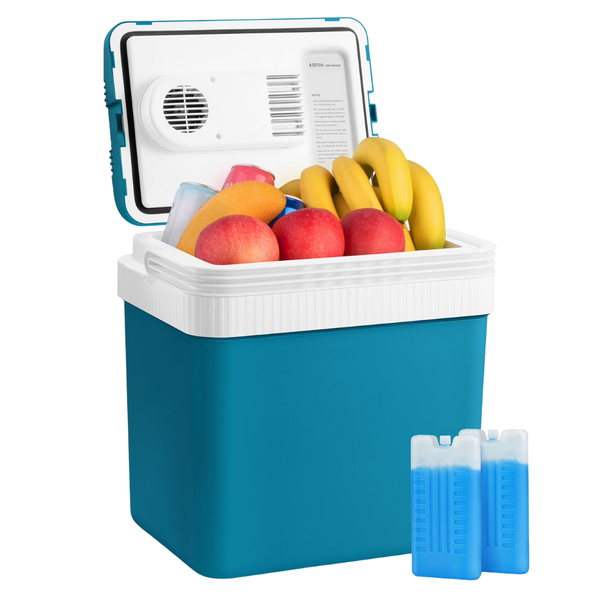 24L Electric Cooler Thermoelectric Portable Car Fridge