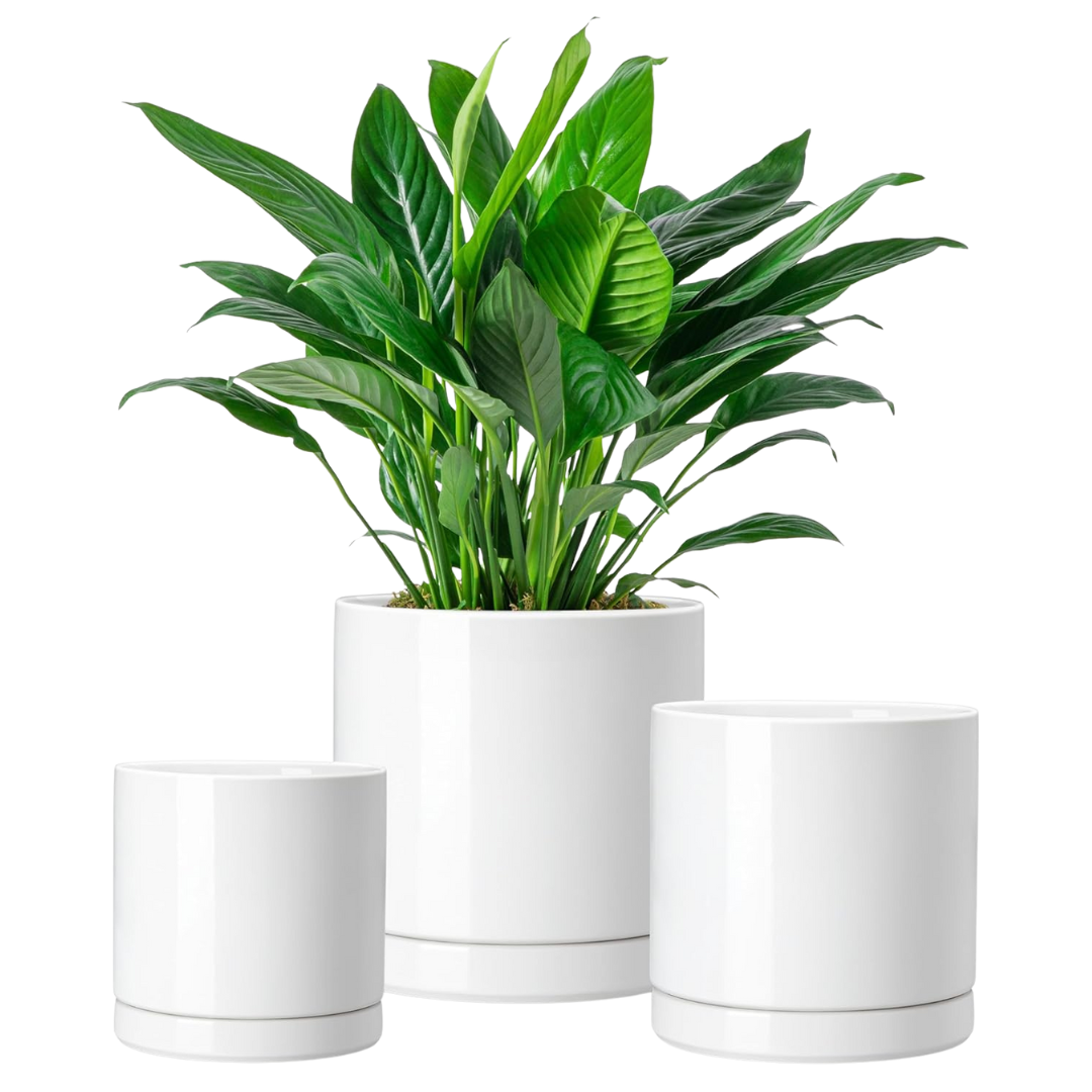 3-Piece Vancasso Ceramic Indoor Plant Pots