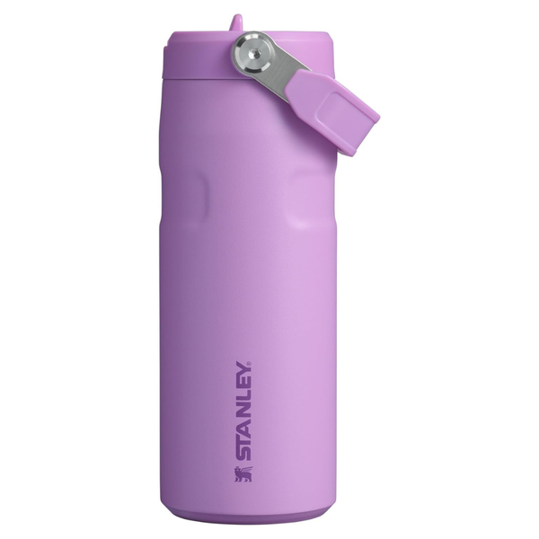 Stanley 16oz IceFlow Flip Straw 2.0 Water Bottle W/ Built-In Straw