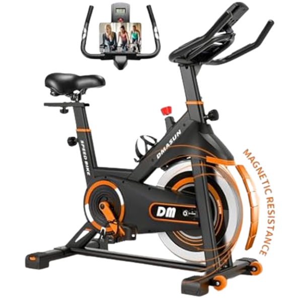 DMASUN 330 LBS Capacity Exercise Bike