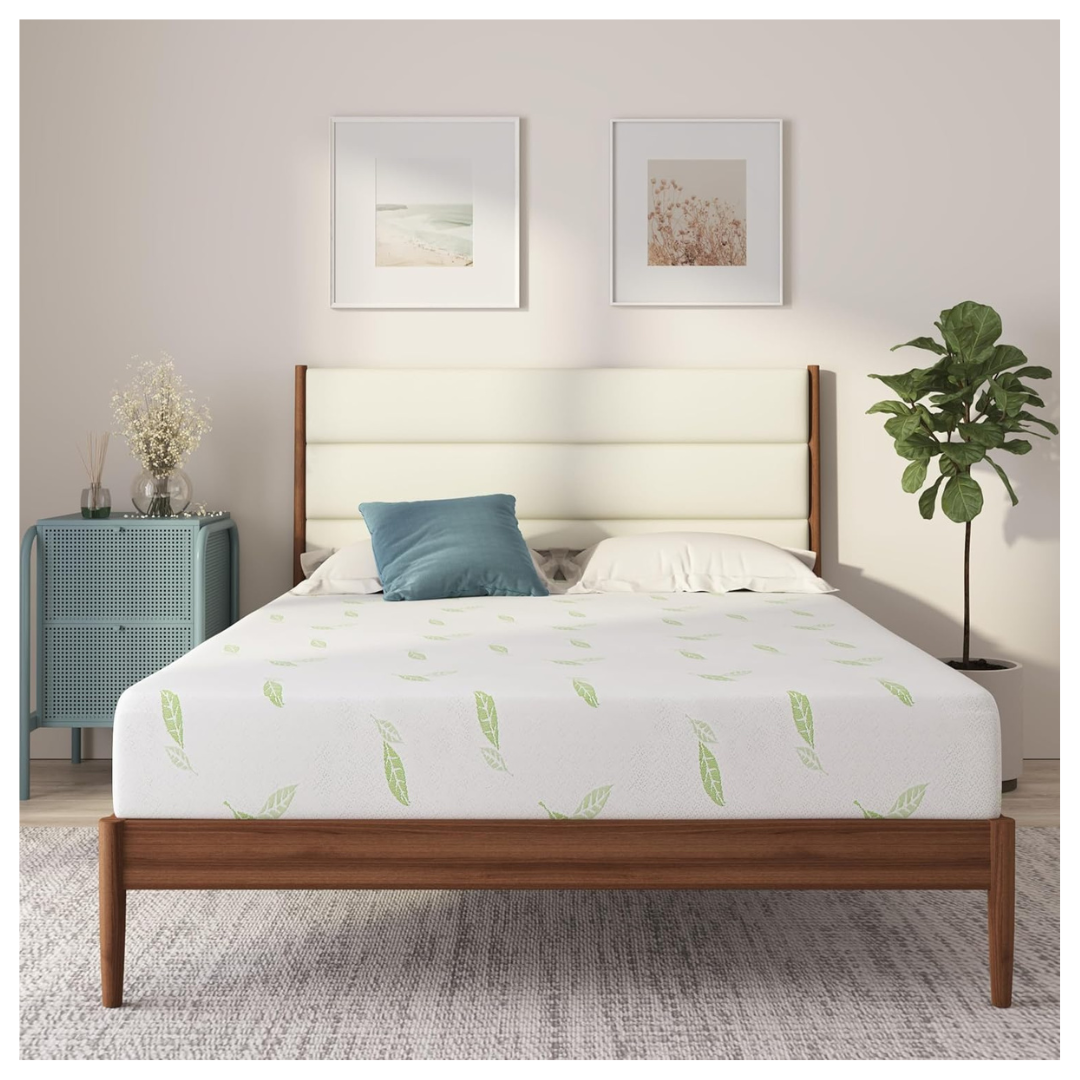 NapQueen 6" Green Tea Memory Foam Mattress (Queen)