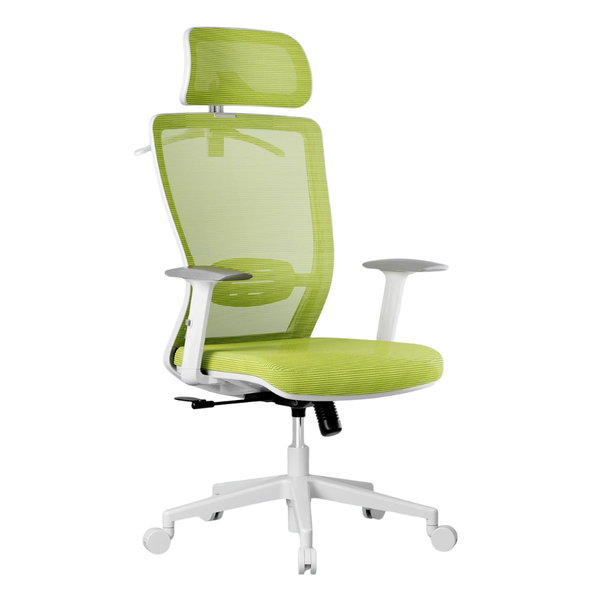Classic Ergonomic Office Chair With Lumbar Support & 2D Headrest
