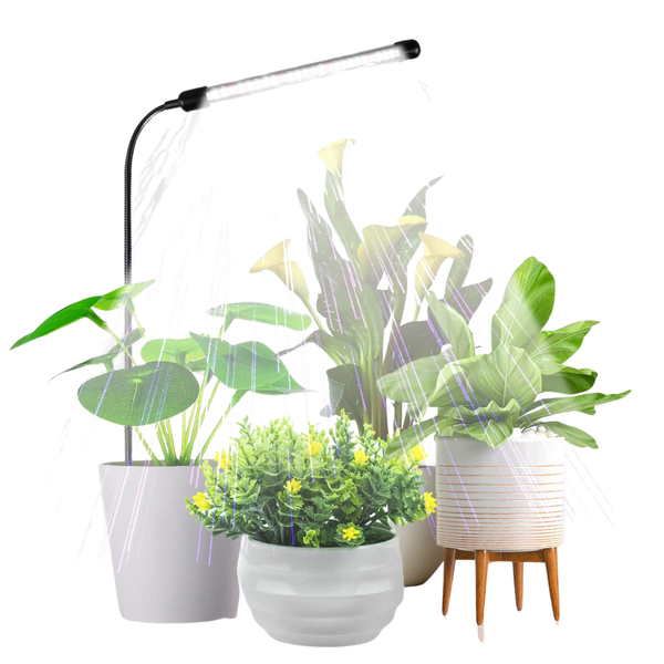 Plants Growing 6000K Light, Auto On/Off Timing & 5 Dimming