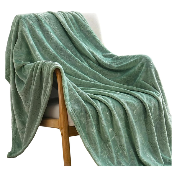 Boritar 50'' x 60" Fluffy Fleece Throw Blanket