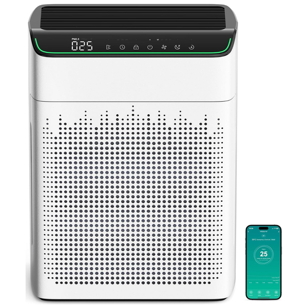 HEPA Filter Air Purifiers With PM 2.5 Monitor