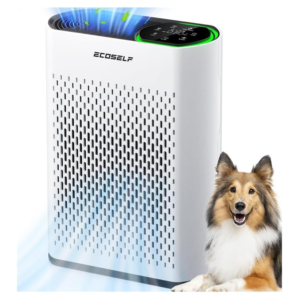 Ecoself 3-Stage True HEPA Air Purifier Up To 2,400 Sq Ft