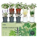 Lykoclean 10 Indoor Herb Garden Kit