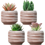 Set of 4 Mini 3.7" Succulent Planter with Drainage