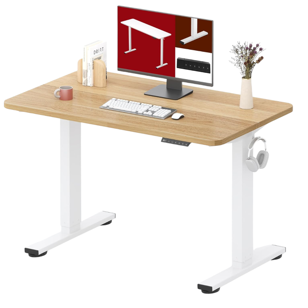 40'' x 24" Height Adjustable Electric Standing Desk