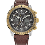 Citizen Men's Promaster Air Skyhawk Eco-Drive Pilot Watch (JY8084-09H)
