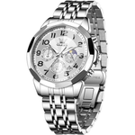 Men's Luxury Stainless Steel Waterproof Luminous Watches (Various)