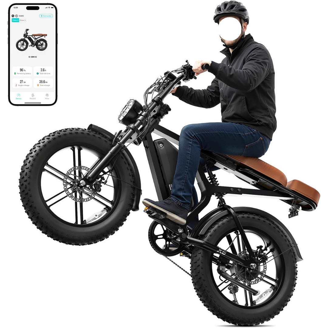 Sisigad 1500W 20" Fat Tire Peak Electric Bike