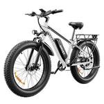 AMYET EB26 26" Fat Tire Electric Bike