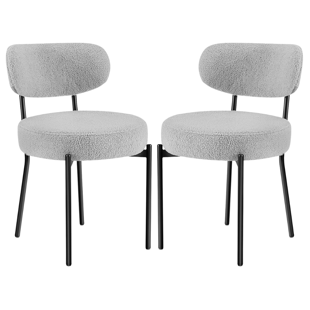 Set of 2 Concetta Mid-Century Modern Dining Chairs