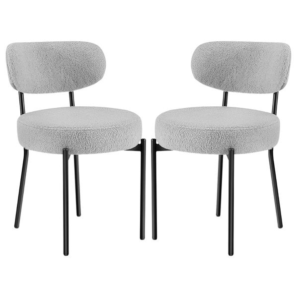 Set of 2 Concetta Mid-Century Modern Dining Chairs