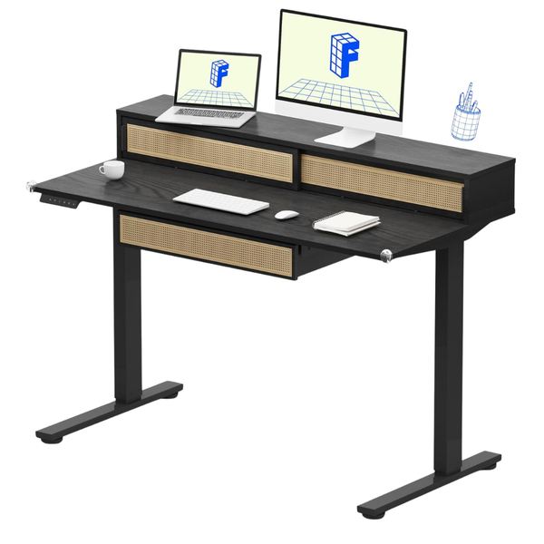 FlexiSpot 48" x 24" Adjustable One-Piece Standing Desk