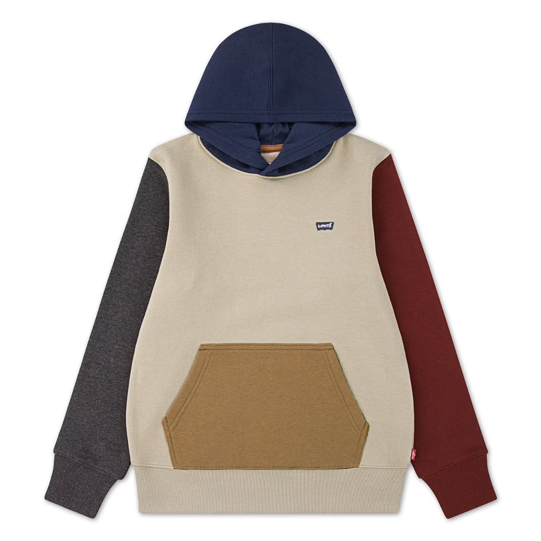Levi's Boy Fleece Hoodie
