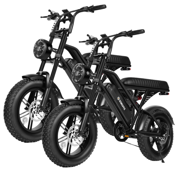 Elecby 1500W Peak Electric Bike With 60 Mile Range