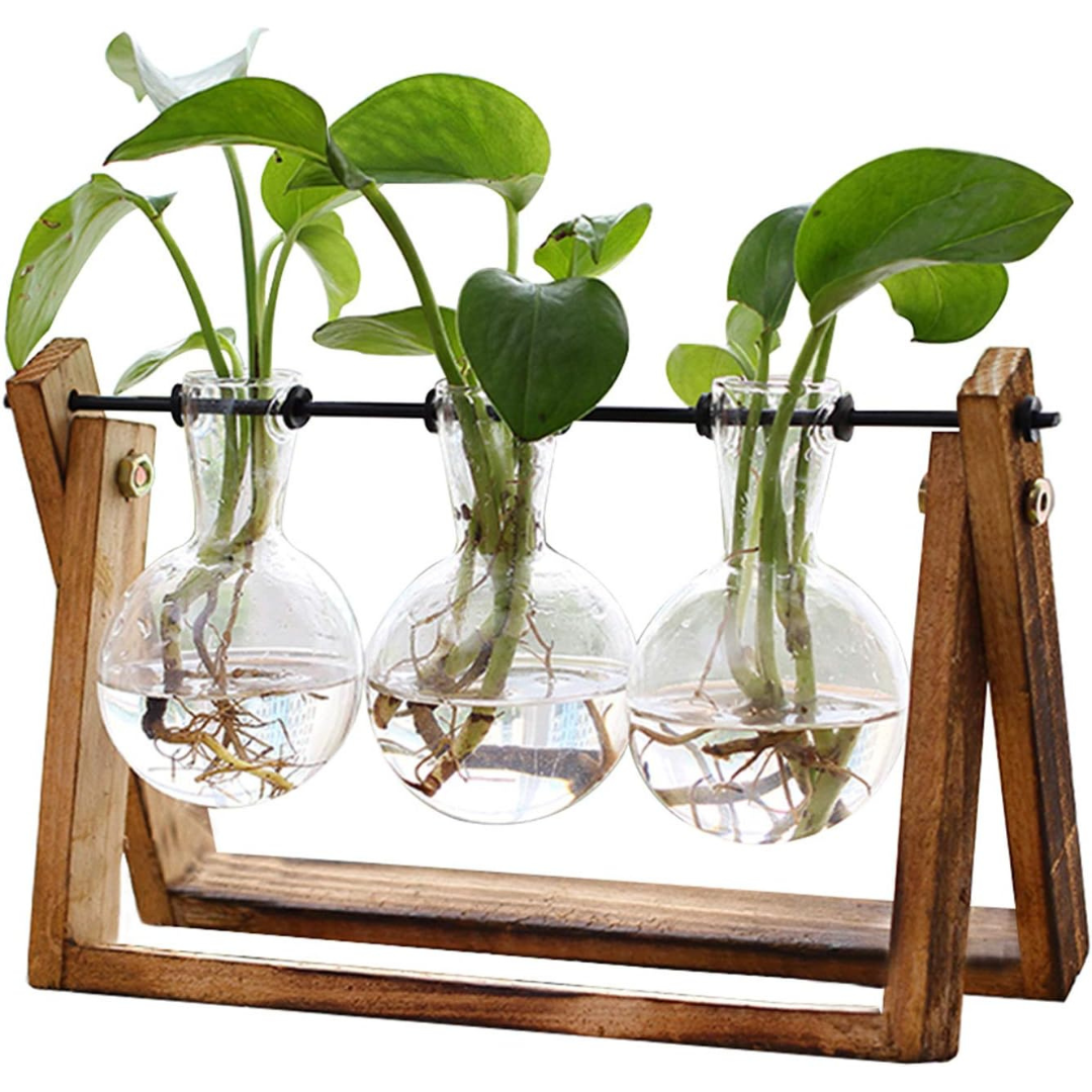 3-Bulb Glass Plant Terrarium With Wooden Stand