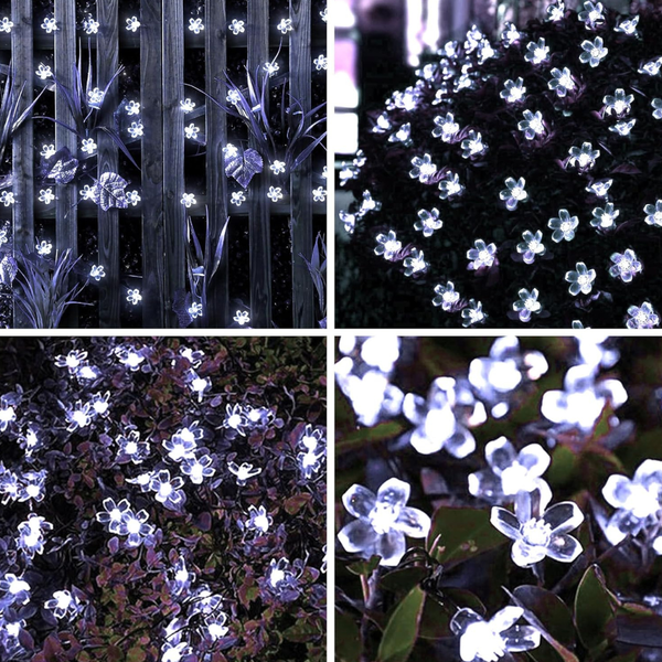 30 LED Cherry Blossom Flower Fairy Lights