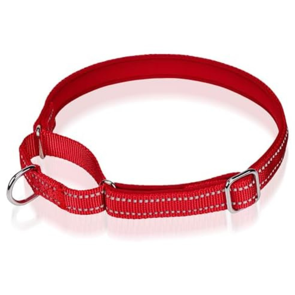 Reflective Martingale Dog NoBuckle Training Collar
