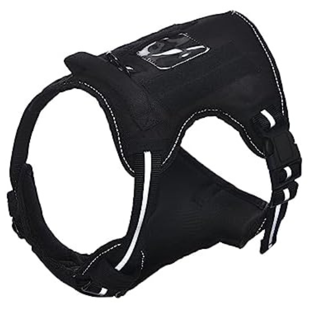 Amazon Basics No Pull Dog Harness