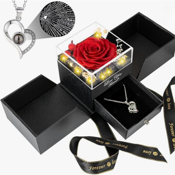 Women's Preserved Rose With Necklace