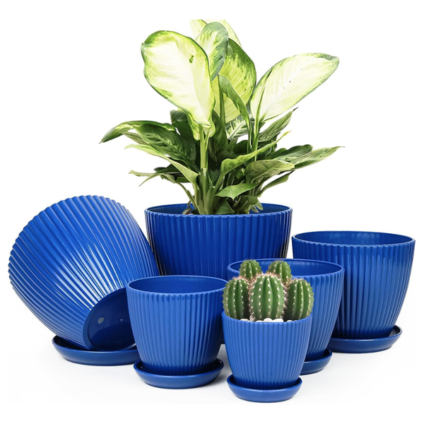 6-Pack Indoor Flower Plant Pots With Saucers & Drainage