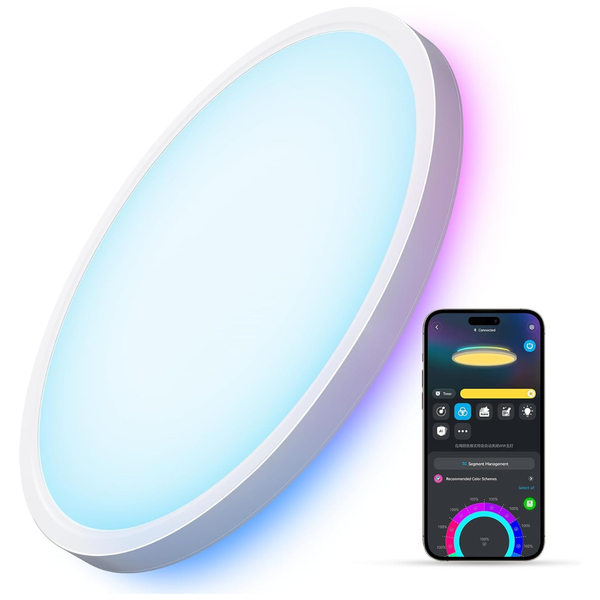 Govee 12" Smart RGBIC LED Ceiling Light Fixture