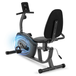 Naipo Indoor Stationary Recumbent Exercise Bike