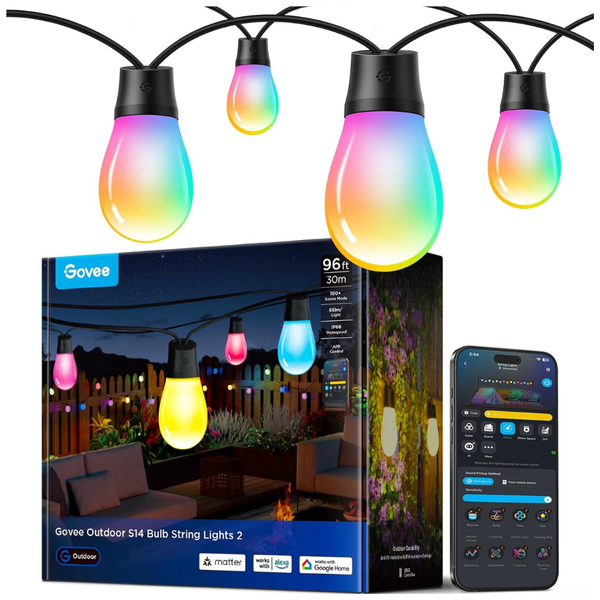 2-Pack 96-Ft Smart RGBIC Warm White String Lights W/ 30 LED Bulbs
