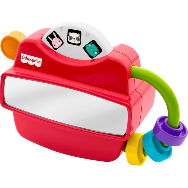 Fisher-Price Baby Activity Viewer Fidget Toy