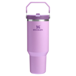 40 Oz Flip Straw Insulated Stainless Steel Tumbler With Handle