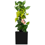 Tevatower Mini Smart Self-Watering Indoor Garden System