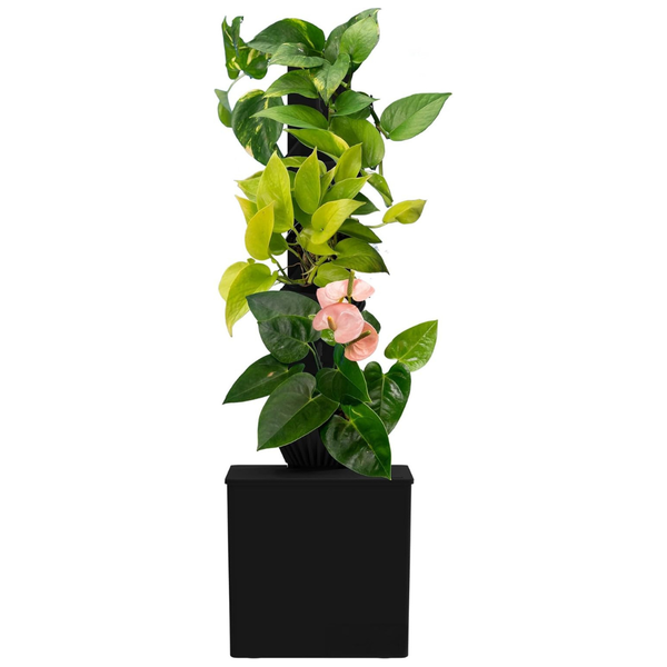Tevatower Mini Smart Self-Watering Indoor Garden System