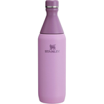 20oz Stanley All Day Stainless Steel Slim Bottle