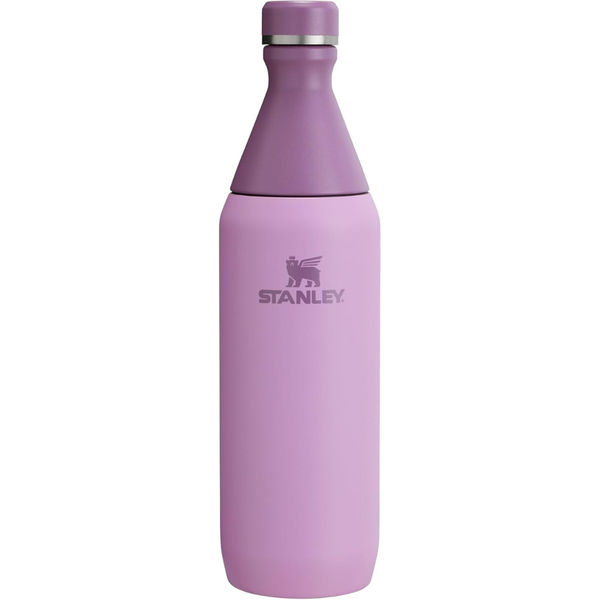 20oz Stanley All Day Stainless Steel Slim Bottle