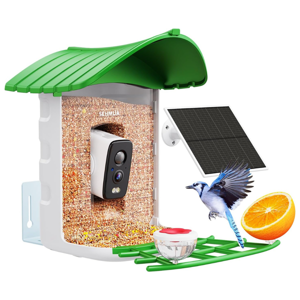 Solar-Powered Bird Feeder Camera With AI Identification
