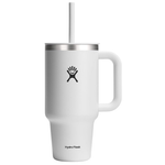 32oz Hydro Flask Stainless Steel Travel Tumbler W/ Lid & Straw