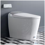 HOROW Tankless Elongated Smart Toilet Bidet