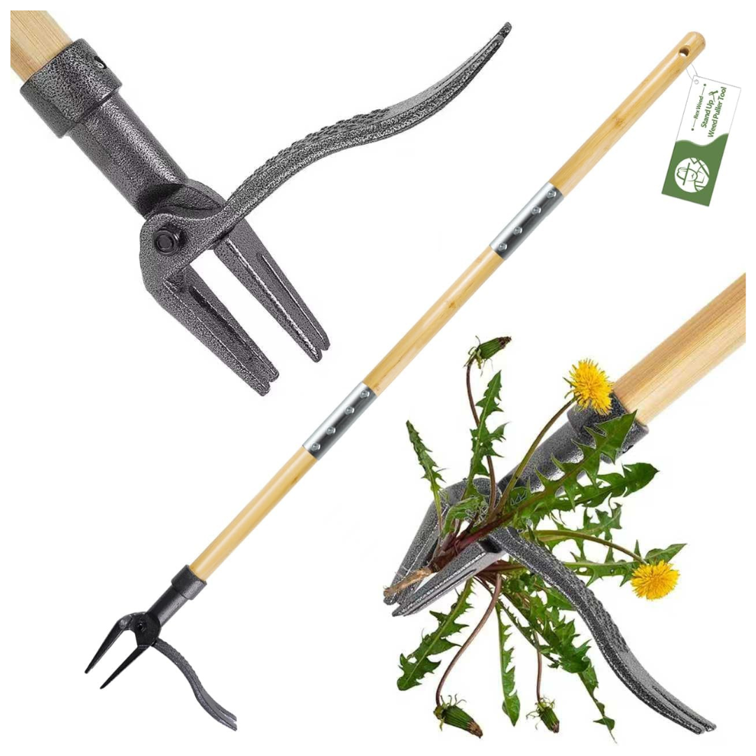 Weed Puller Tool with 4-Claw Head & Long Handle