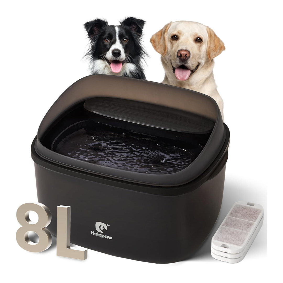 2.1-Gallon Automatic Dog Water Fountain