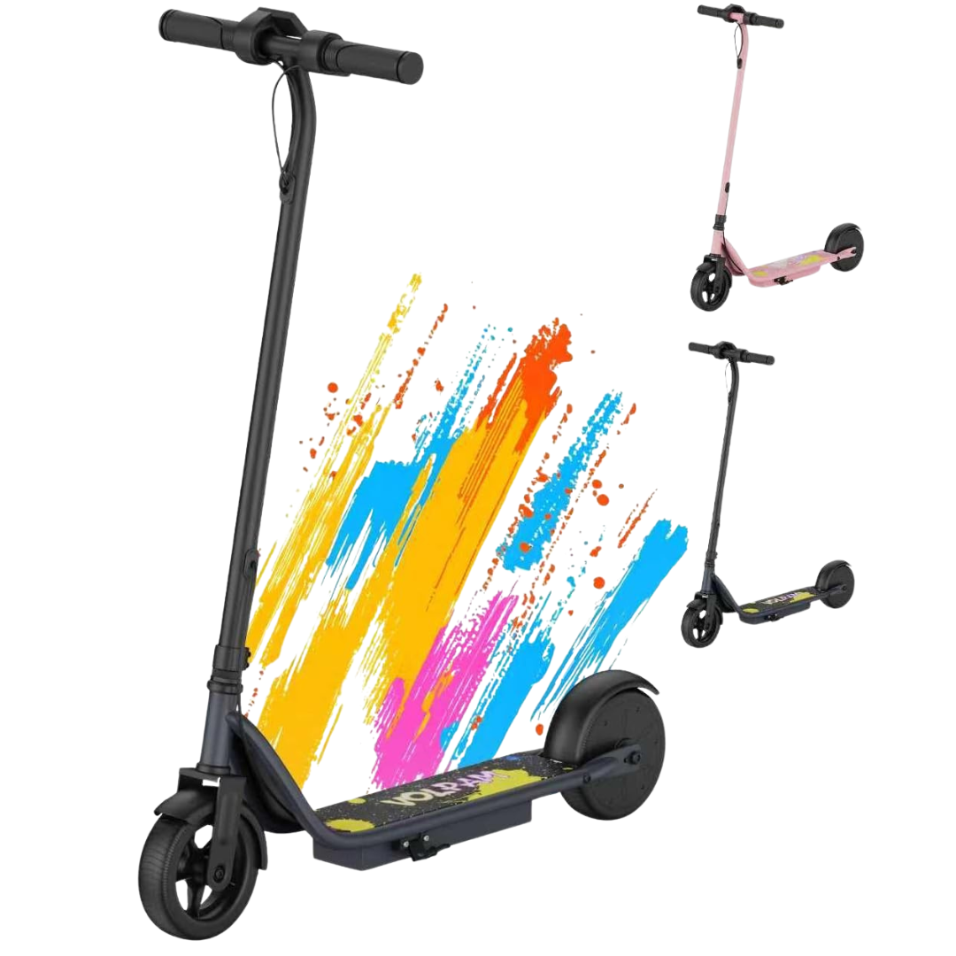 LED Display 3 Speeds 250W Motor Electric Scooter