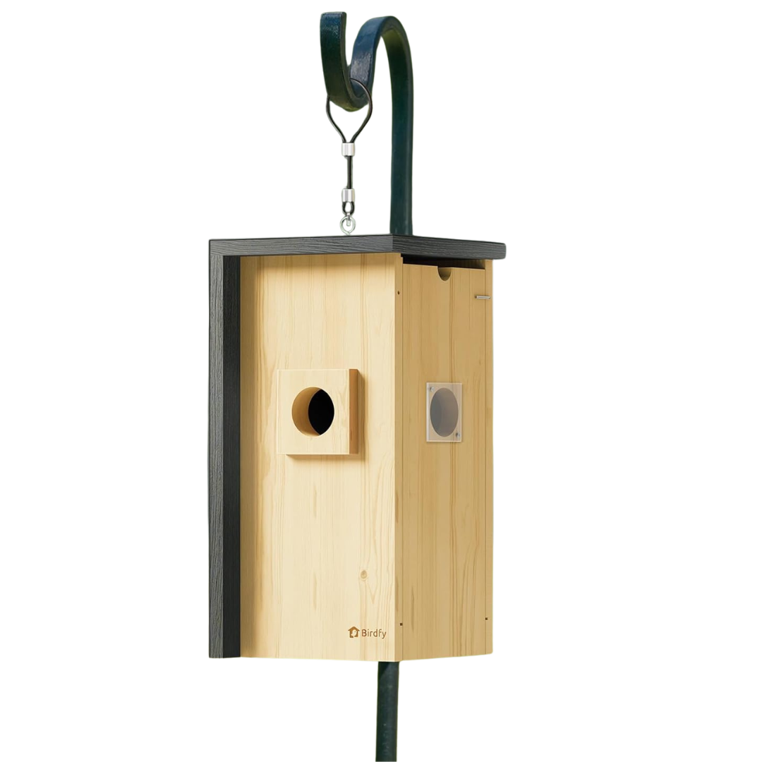 Wooden 1080P HD Inside Camera Smart Bird House W/ Iron Guard