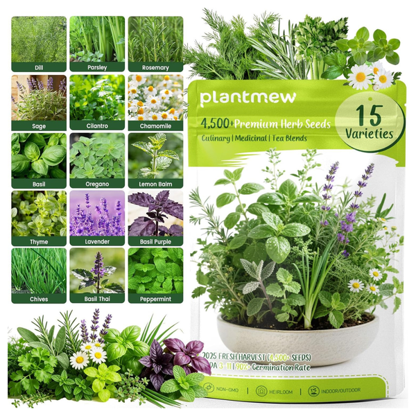 15-Pack 4,500+ Non-GMO Heirloom Herb Seeds With Basil
