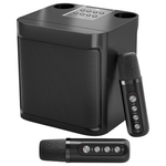 Freefish Portable Karaoke Machine W/ 2 Wireless Mics