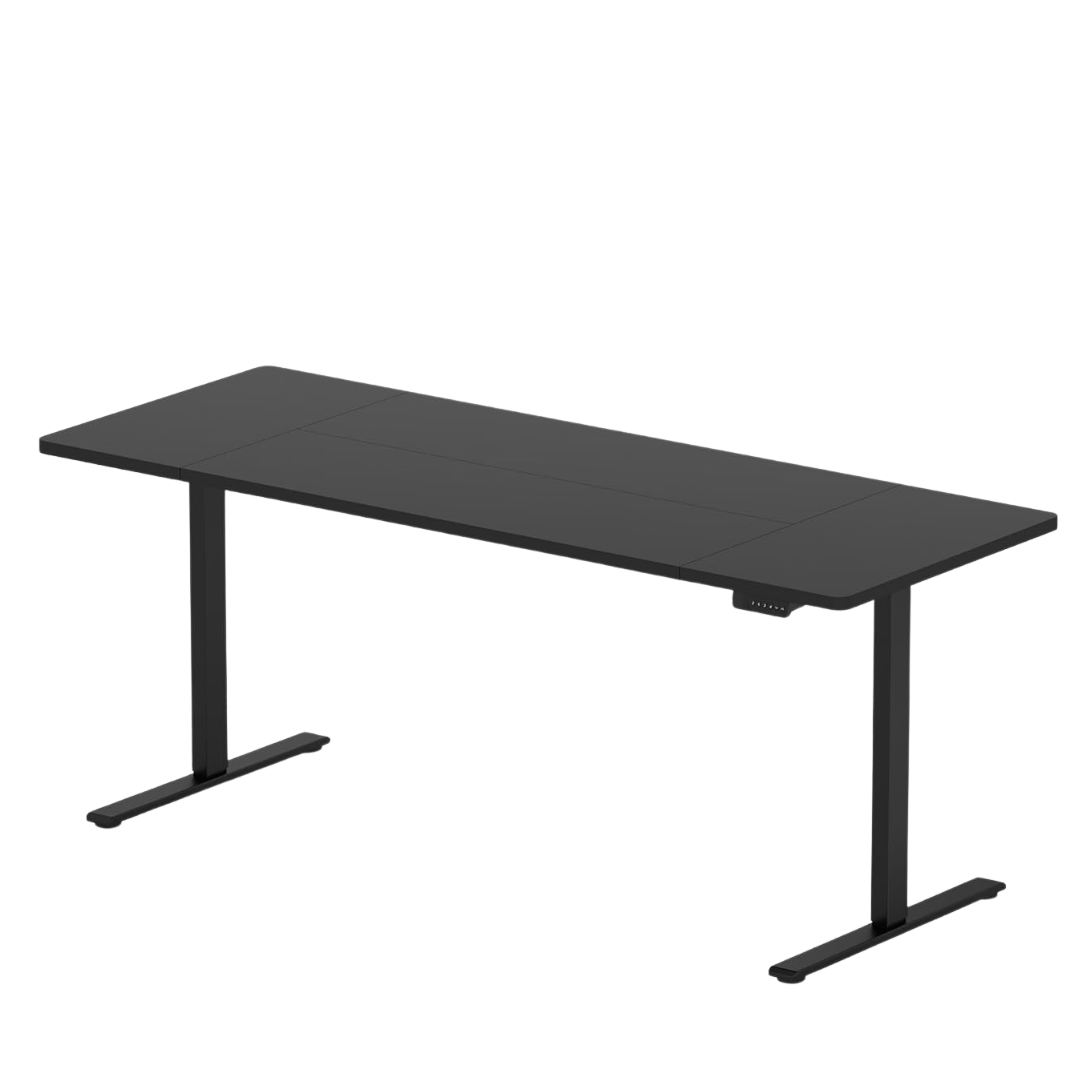 79"x31" FitStand Dual Motor Adjustable Standing Desk (Black)